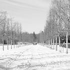 Parc du Château de Rambouillet.