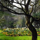 Parc du cours à Epinal