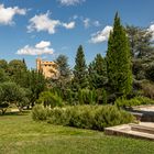 Parc du Couvent des Cordeliers  