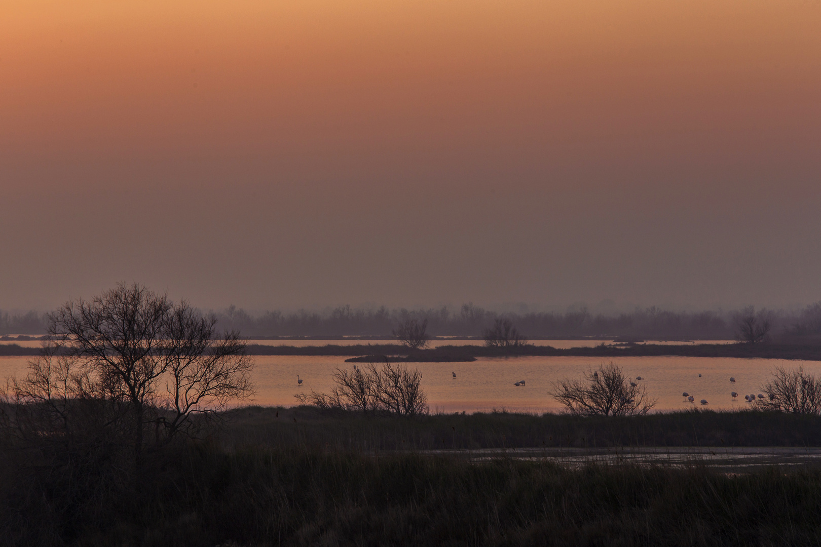 Parc du Delta (2)