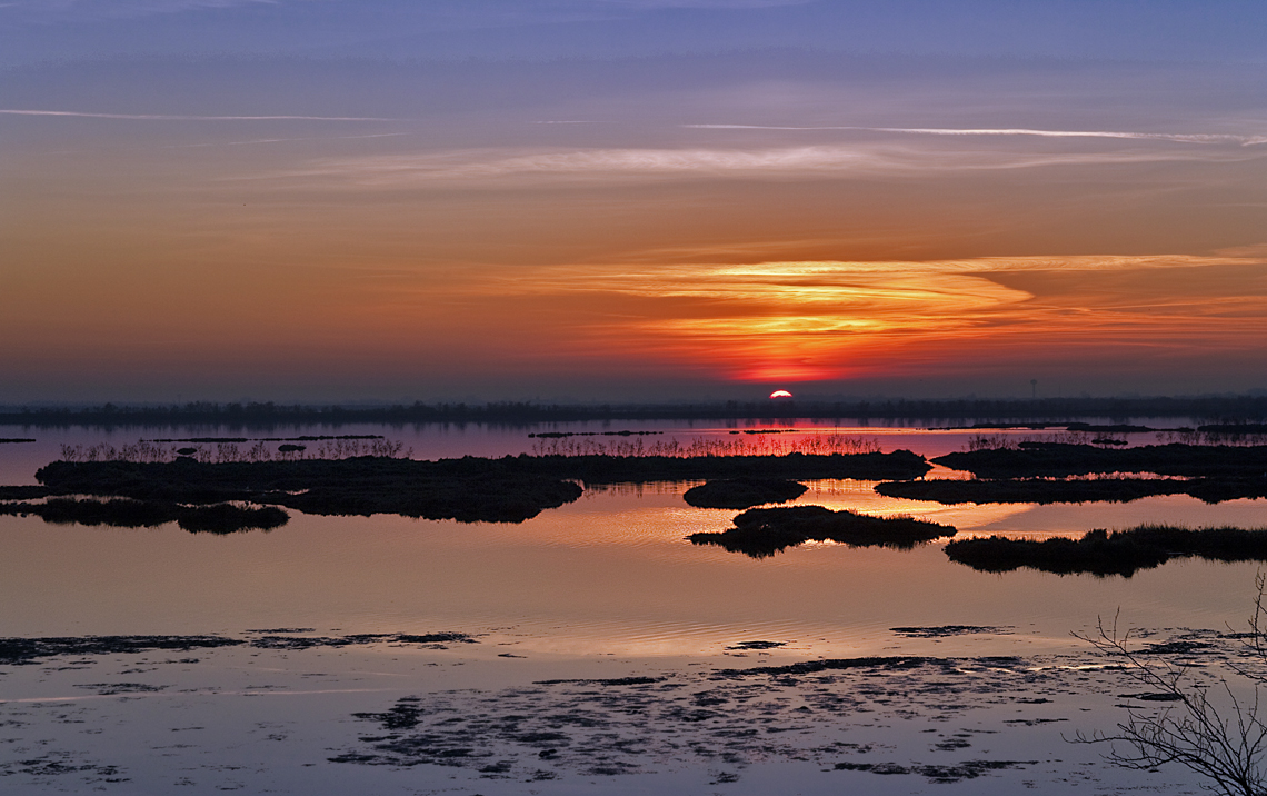 Parc du delta....(1)