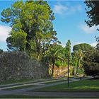 Parc du Jardin botanique 