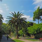 Parc du Jardin Botanique