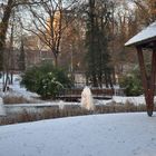 Parc du luxembourg3