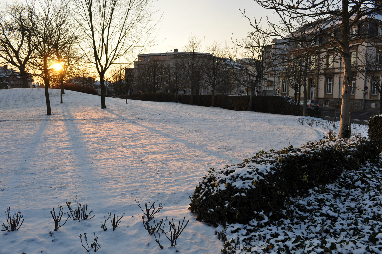 Parc du luxembourg6