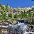 parc du mercantour vers le boréon