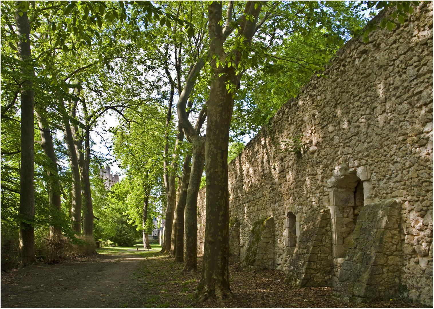  Parc du Moulin des Tours en bord de Gélise à Barbaste  --  Lot-et-Garonne