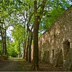  Parc du Moulin des Tours en bord de Gélise à Barbaste  --  Lot-et-Garonne