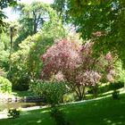 Parc du Retiro à Madrid