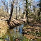 Parc du Roy René, Valabre, bouches du thône