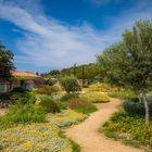 Parc du Saleccia - Corse