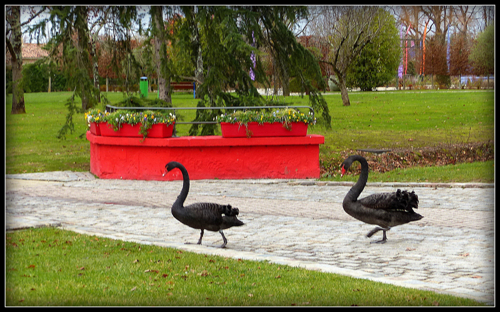 PARC - du - STELSIA - 2 - 