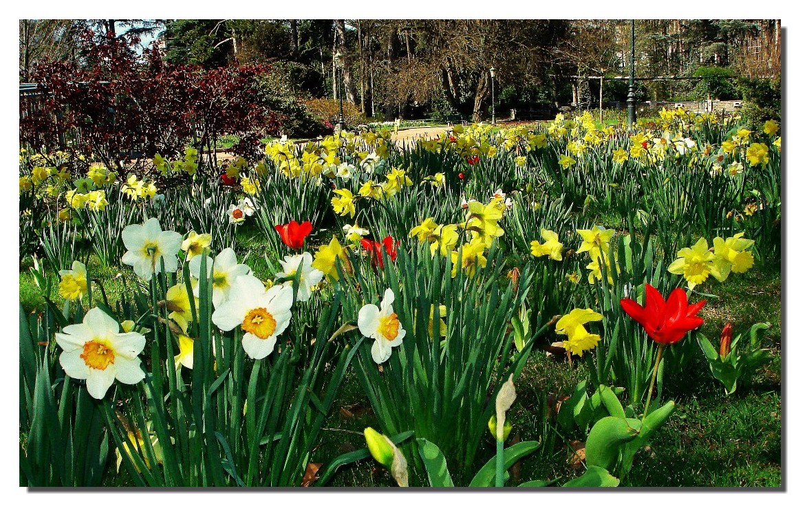 PARC FLORAL