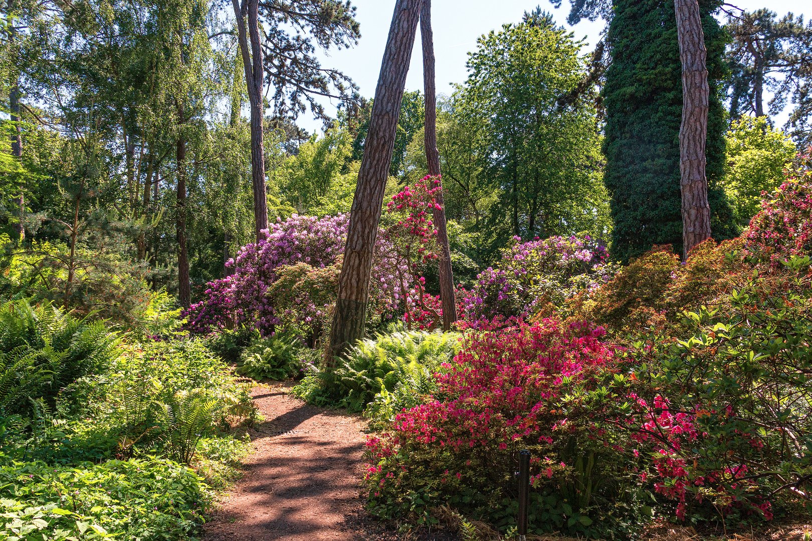 Parc floral Paris-Vincennes 