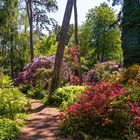 Parc floral Paris-Vincennes 