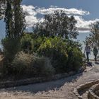 Parc Güell I - Barcelona