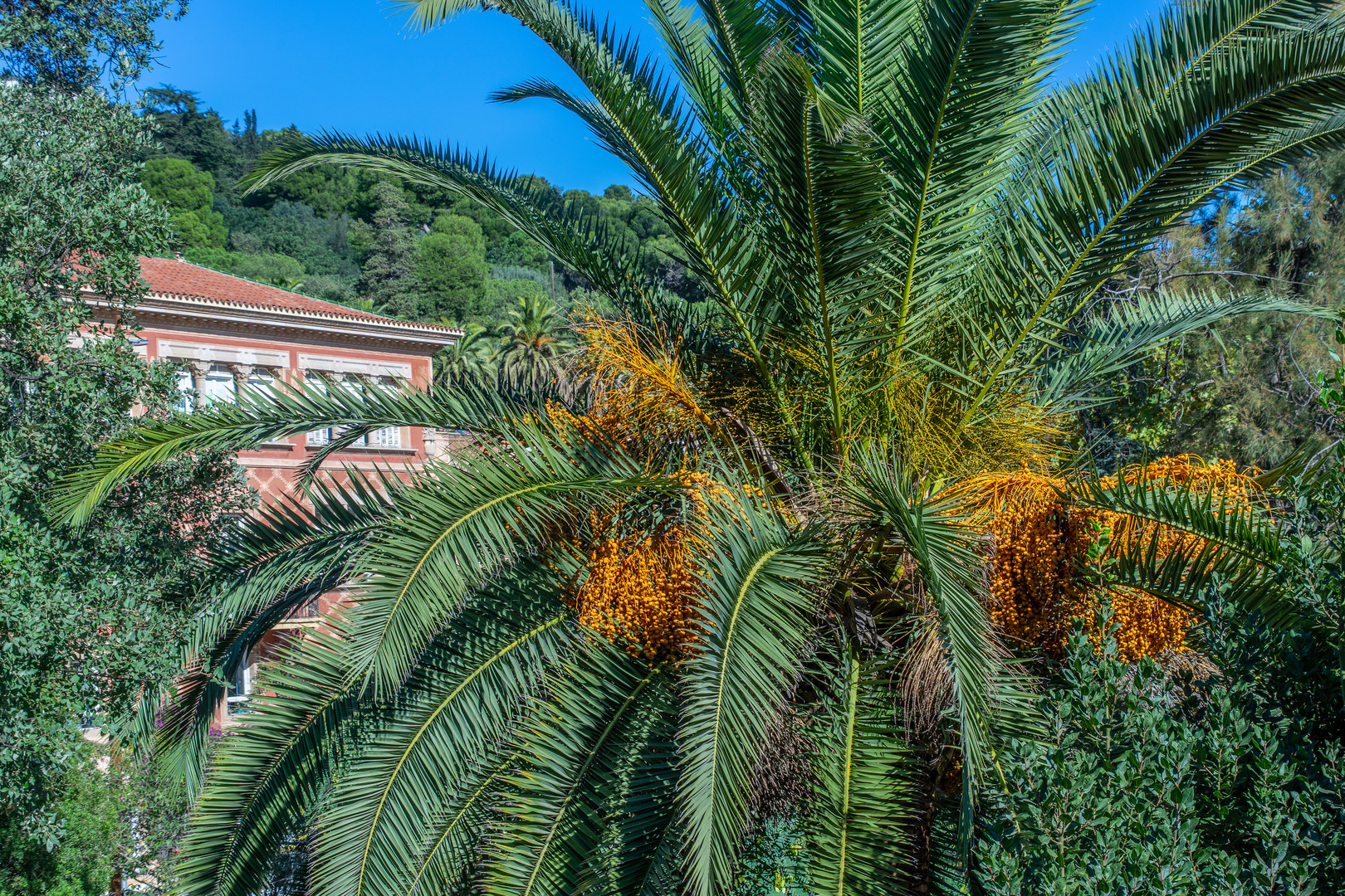 Parc Güell III - Barcelona