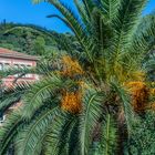 Parc Güell III - Barcelona