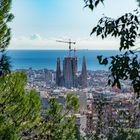 Parc Güell V - Barcelona