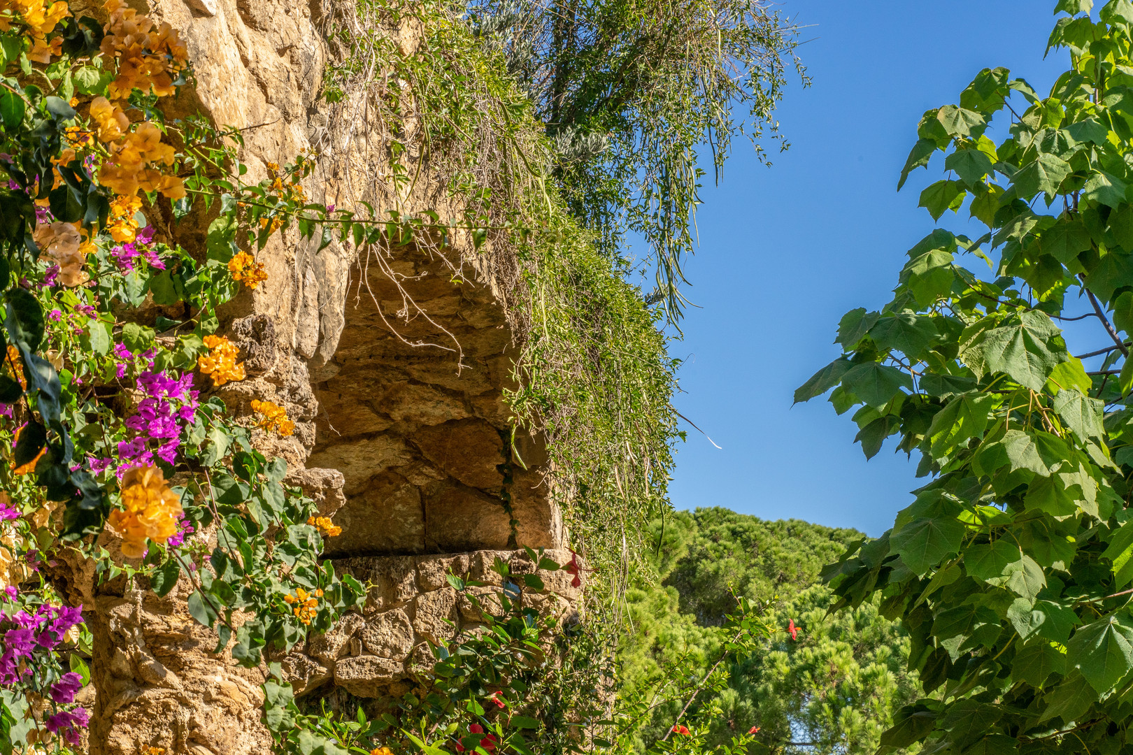 Parc Güell X - Barcelona