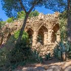 Parc Güell XX - Barcelona