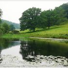 Parc jardin de Stourhead.