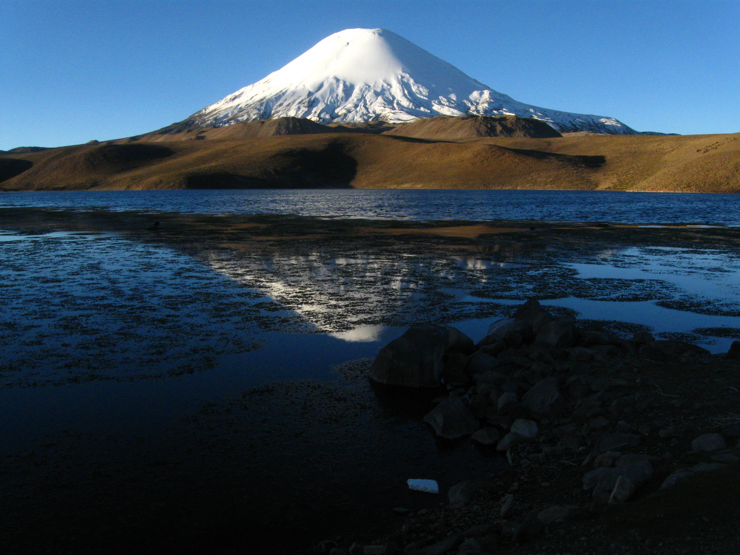 Parc Nacional de Lauca