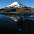 Parc Nacional de Lauca