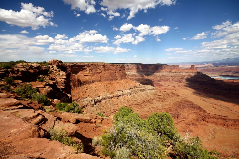 " Parc national de CANYONLANDS "