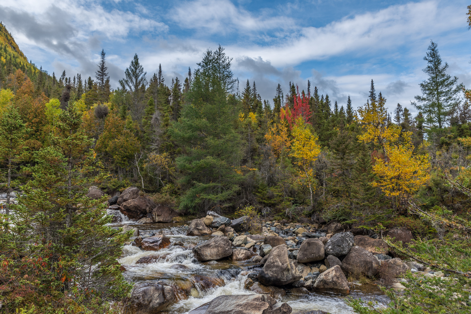 Parc national de la Gaspésie 