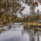 Parc national de la Gaspésie