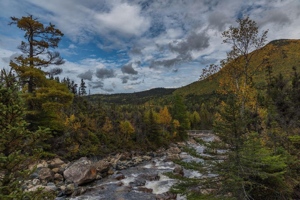 Parc national de la Gaspésie 