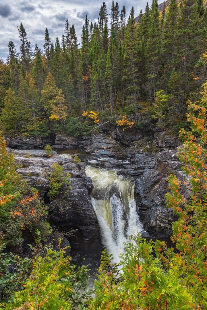 Parc national de la Gaspésie