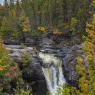 Parc national de la Gaspésie