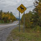 Parc national de la Gaspésie 