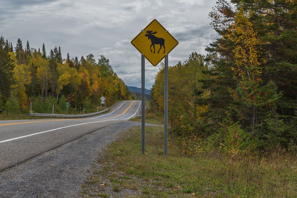 Parc national de la Gaspésie 