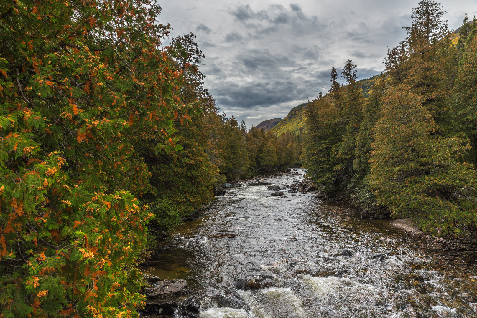 Parc national de la Gaspésie