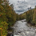 Parc national de la Gaspésie