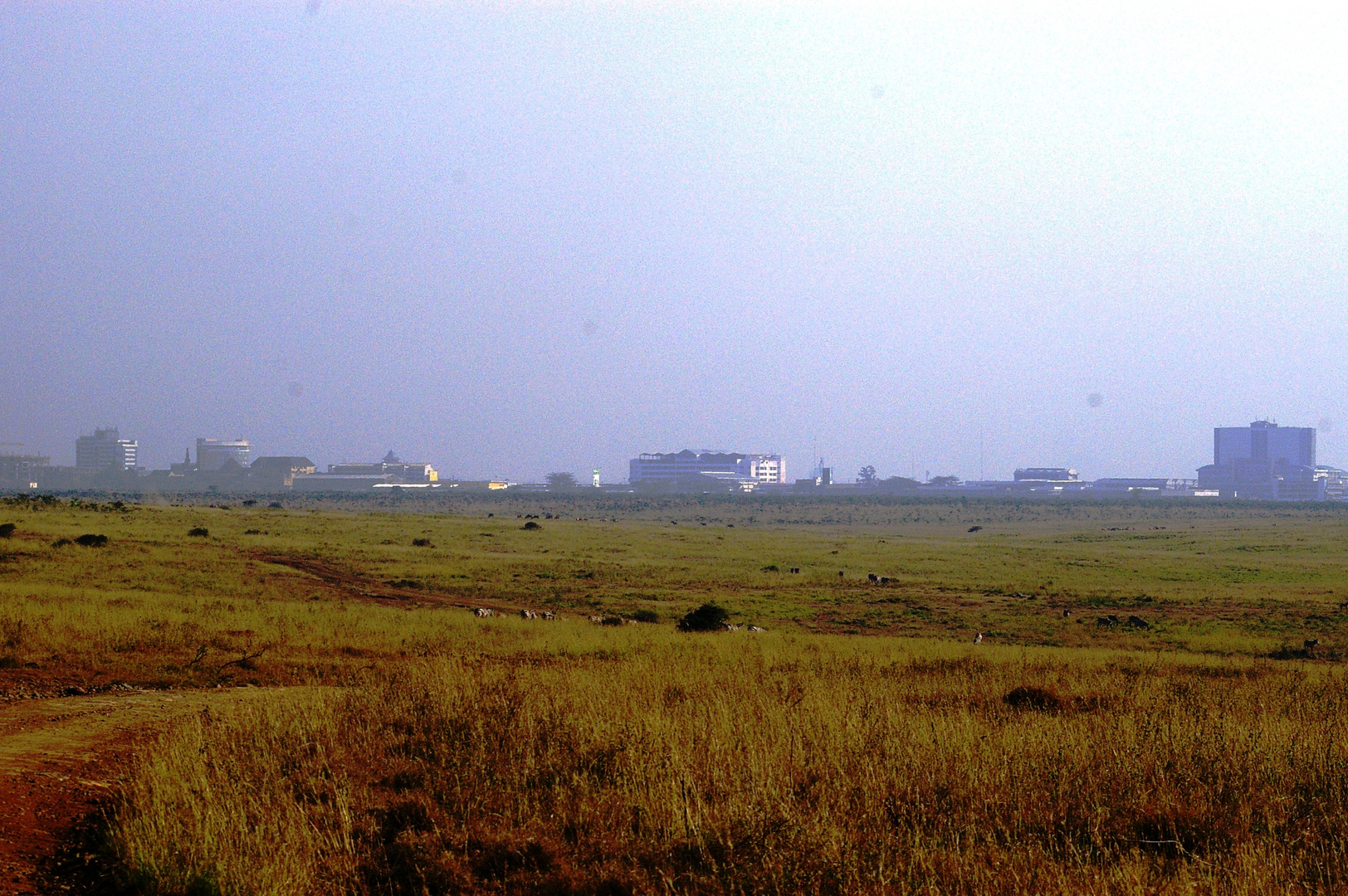 Parc National de Nairobi, au coeur de la ville, Kenya