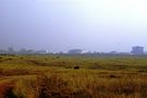 Parc National de Nairobi, au coeur de la ville, Kenya de VERSTICHEL 