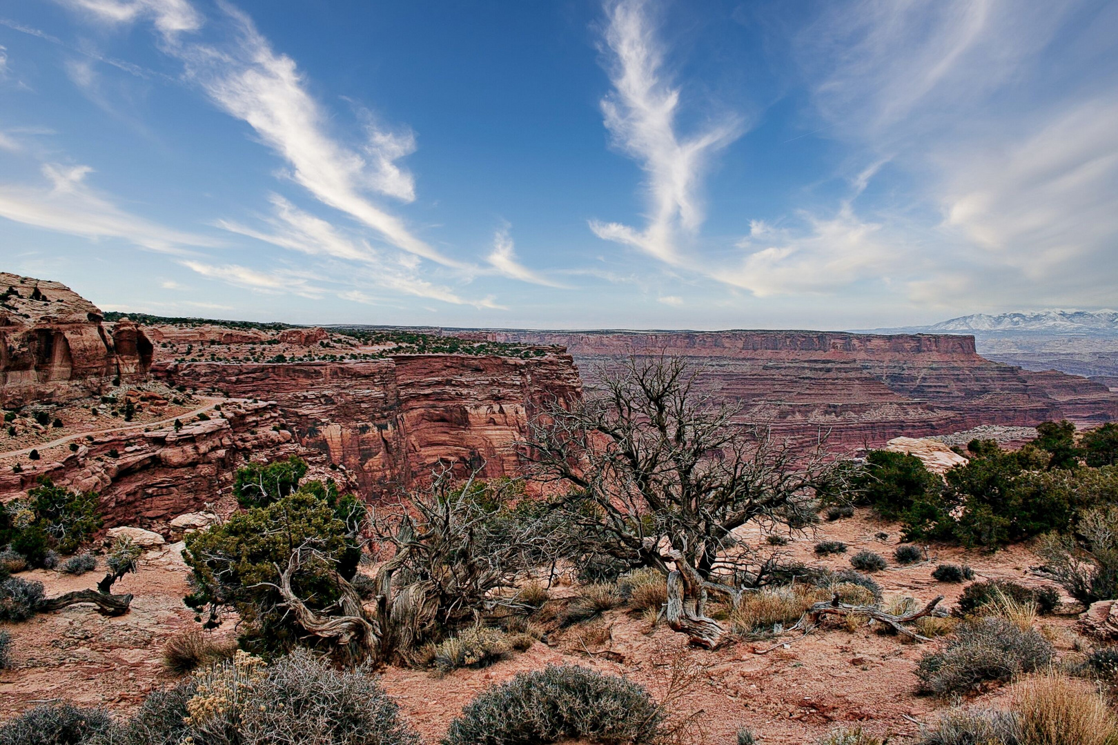 Parc national des Arches au coeur du Colorado