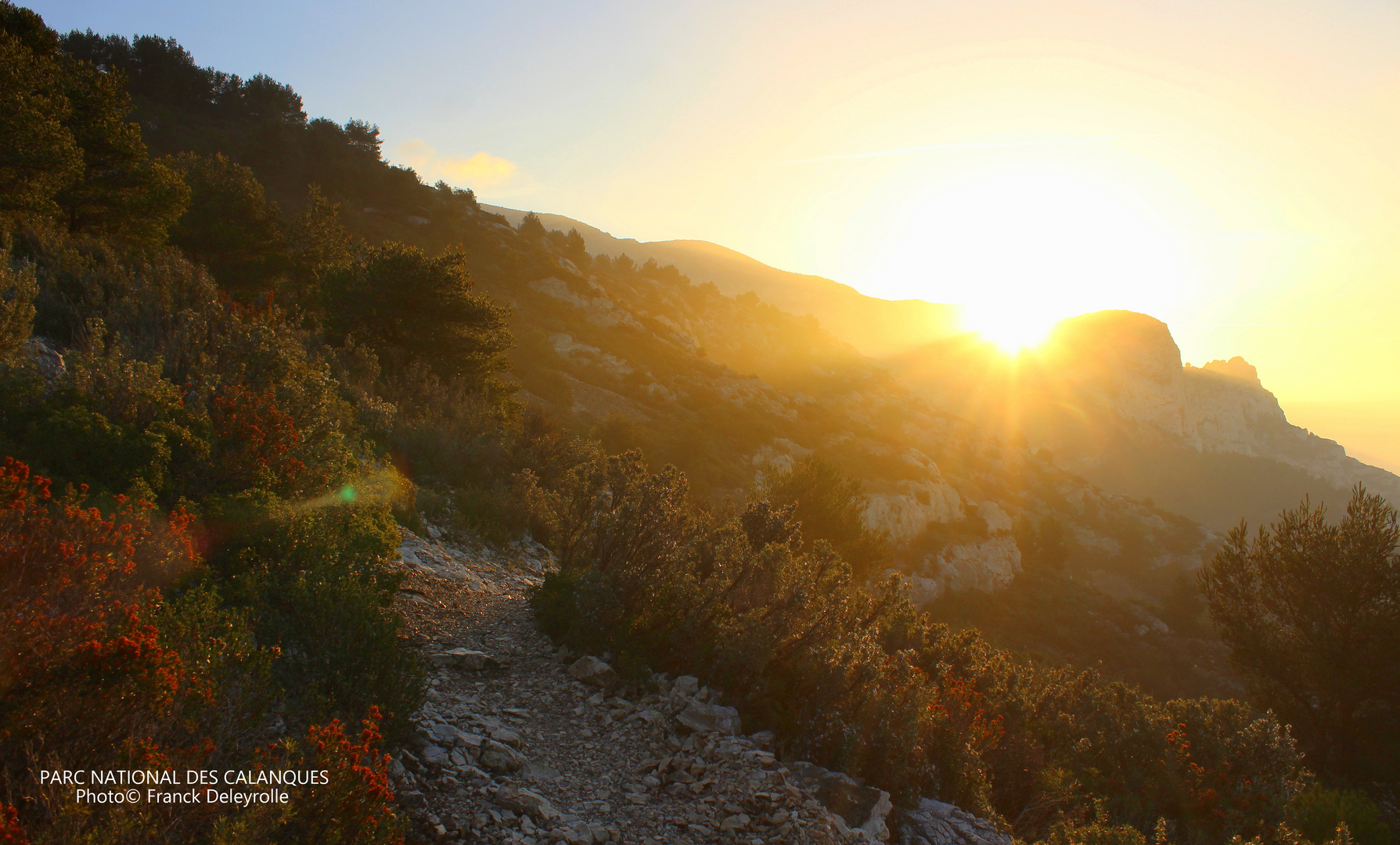 Parc National des Calanques