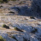 Parc National des Calanques