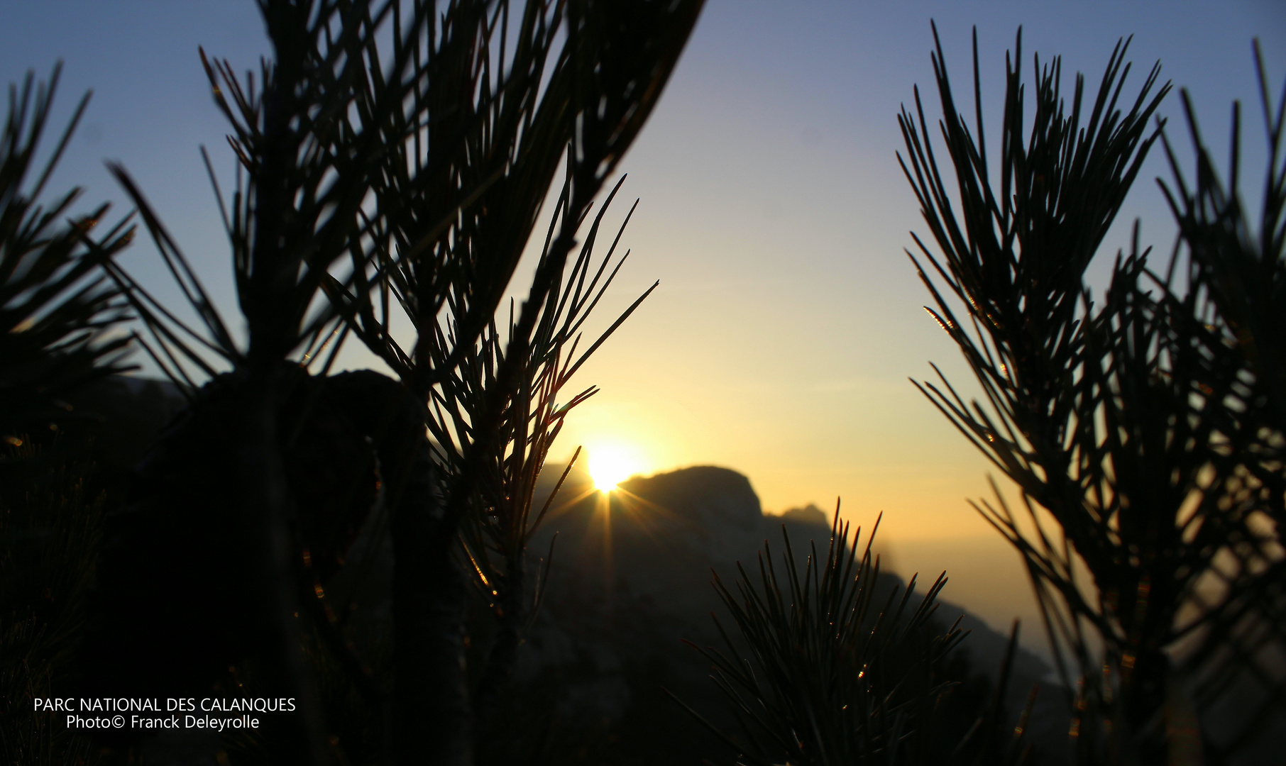 Parc National des Calanques