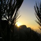 Parc National des Calanques