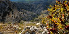 Parc National des Calanques