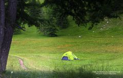 Parc National du Mercantour