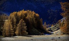 Parc National du Mercantour