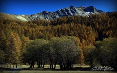 Parc National du Mercantour