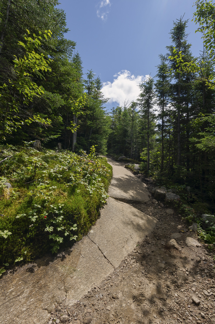 Parc National Malbaie Kanada